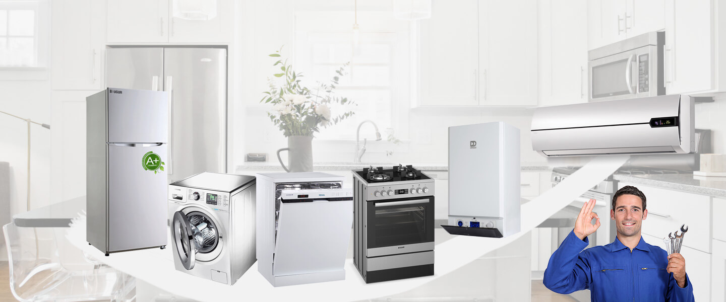 Boyalık Electrolux Servisi